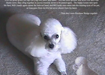 sample custom photo pet loss memorial from Grateful Dog Design