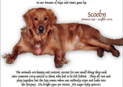 sample custom photo pet memorial from Grateful Dog Design