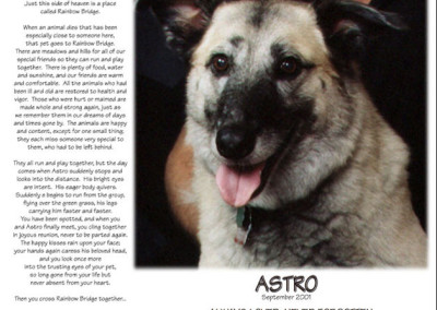 sample custom photo pet loss memorial from Grateful Dog Design