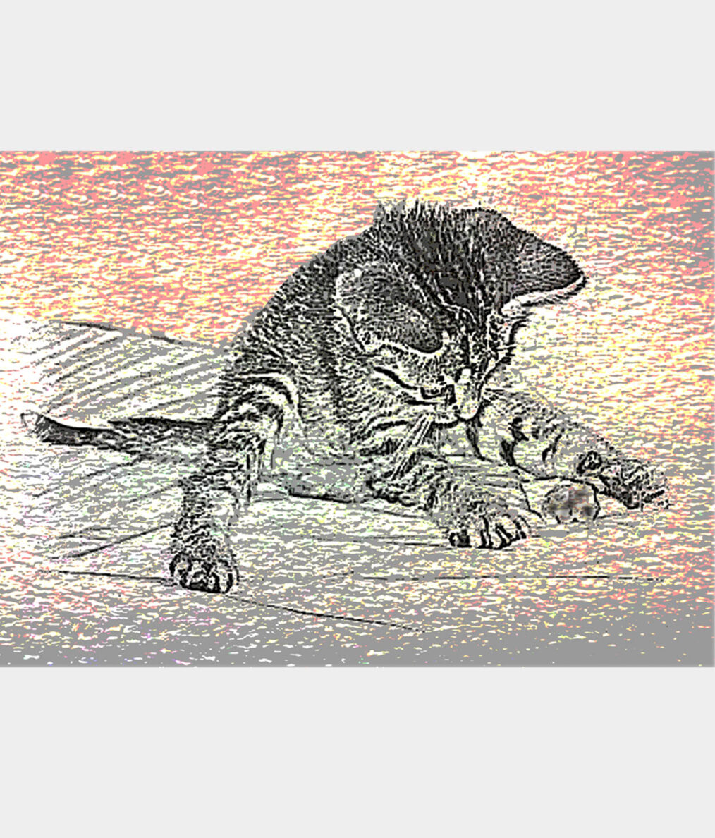Card 204 (message inside: “Kittens are angels with whiskers,” quote from Alexis Flora Hope)